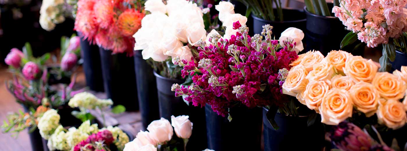 وب سایت عروسی دات کام | 