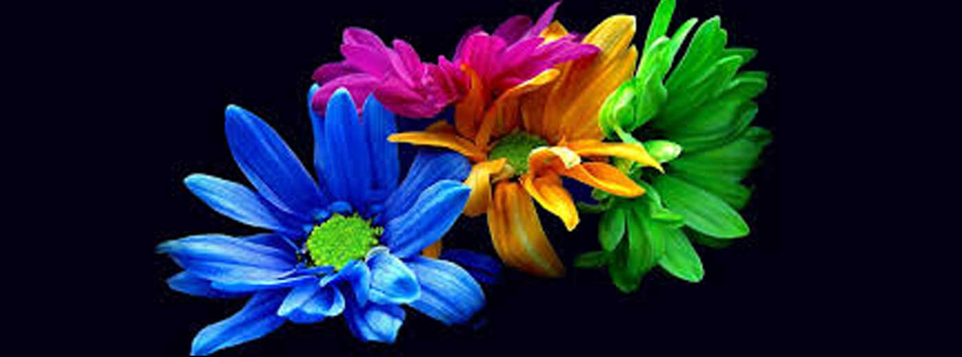 وب سایت عروسی دات کام | 