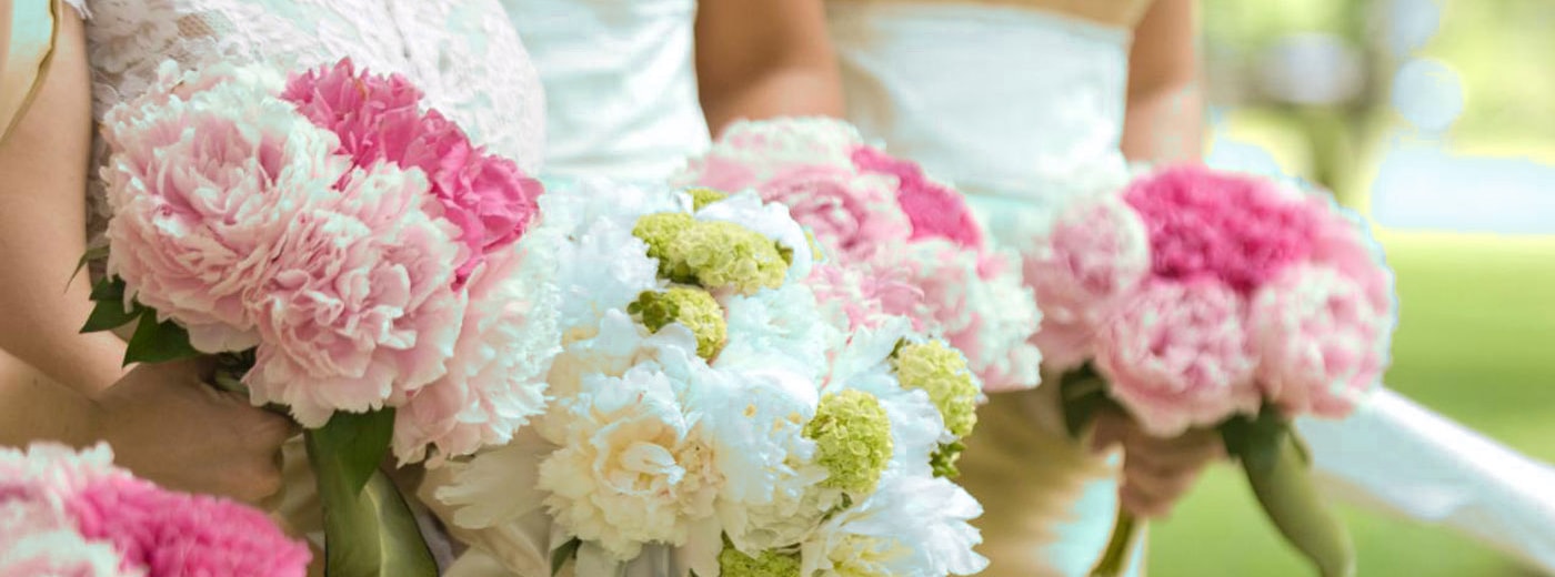 وب سایت عروسی دات کام | 