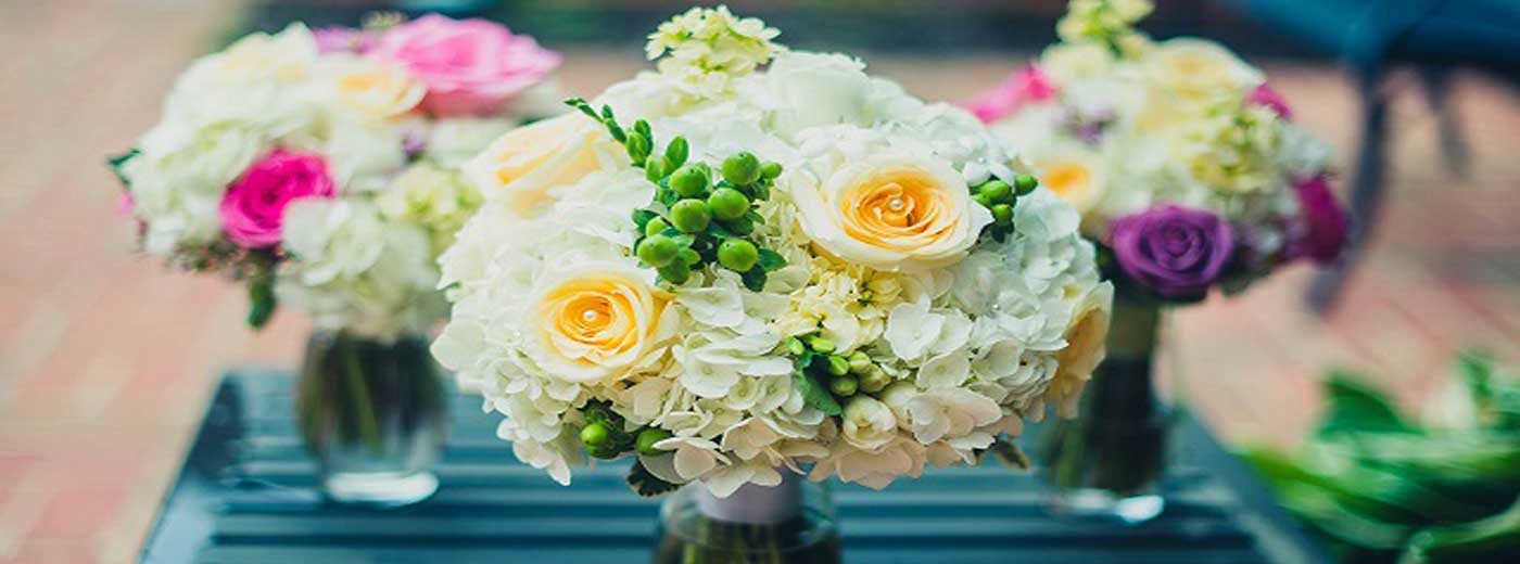 وب سایت عروسی دات کام | 