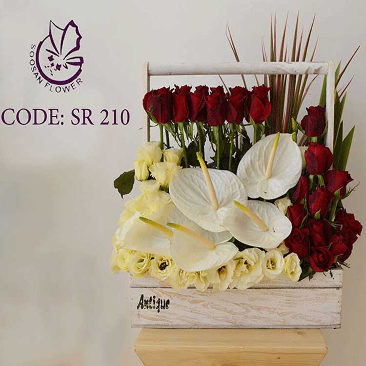 وب سایت عروسی دات کام | 