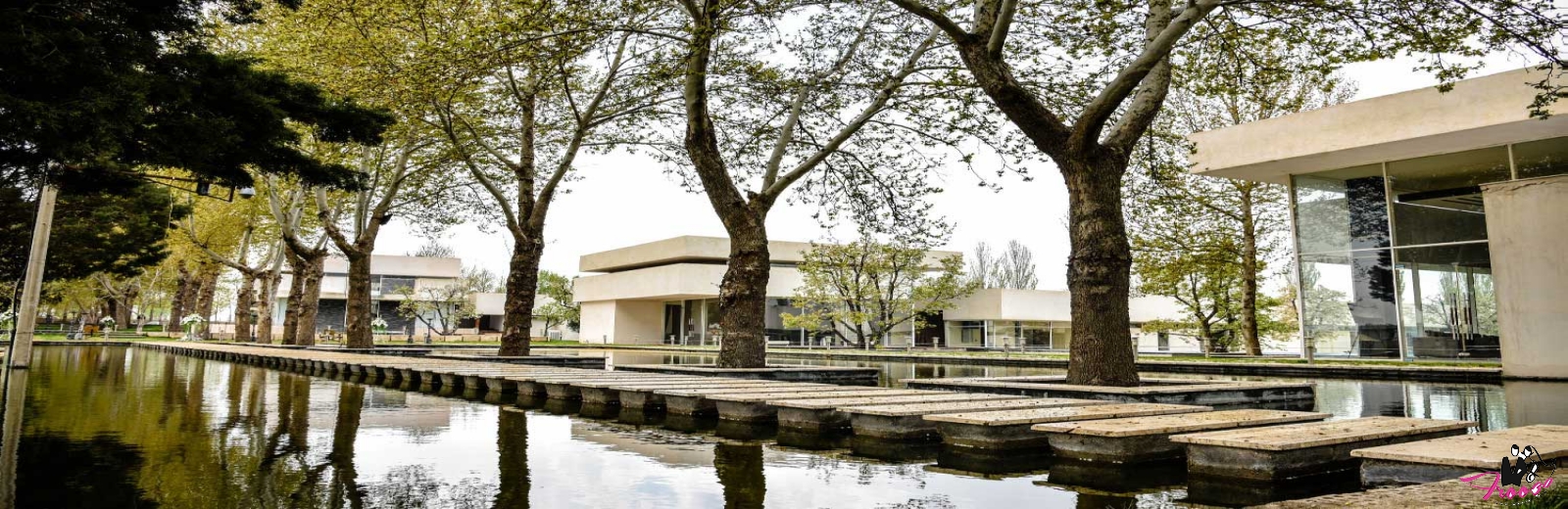 وب سایت عروسی دات کام | 