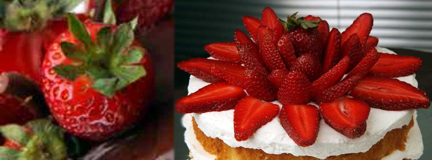 وب سایت عروسی دات کام | 