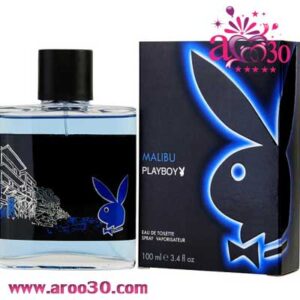 عطر مردانه با رایحه سرد مناسب برای فصل گرم سال