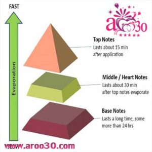 چرخه رایحه ها ی عطر ها و تفاوت عطر شیرین و عطر تلخ